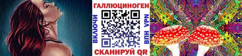 Псилоцибиновые грибы прущие грибы  Задонск 